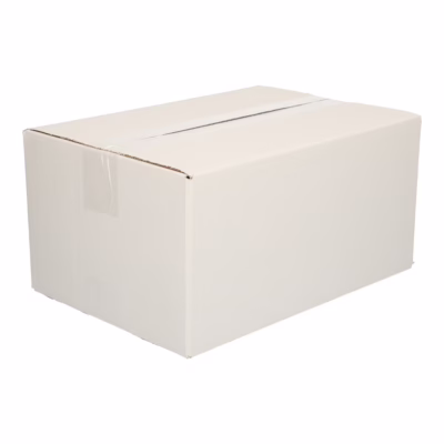 Afbeelding voor Single Wave Shipping Box (30.5×22×20 cm)